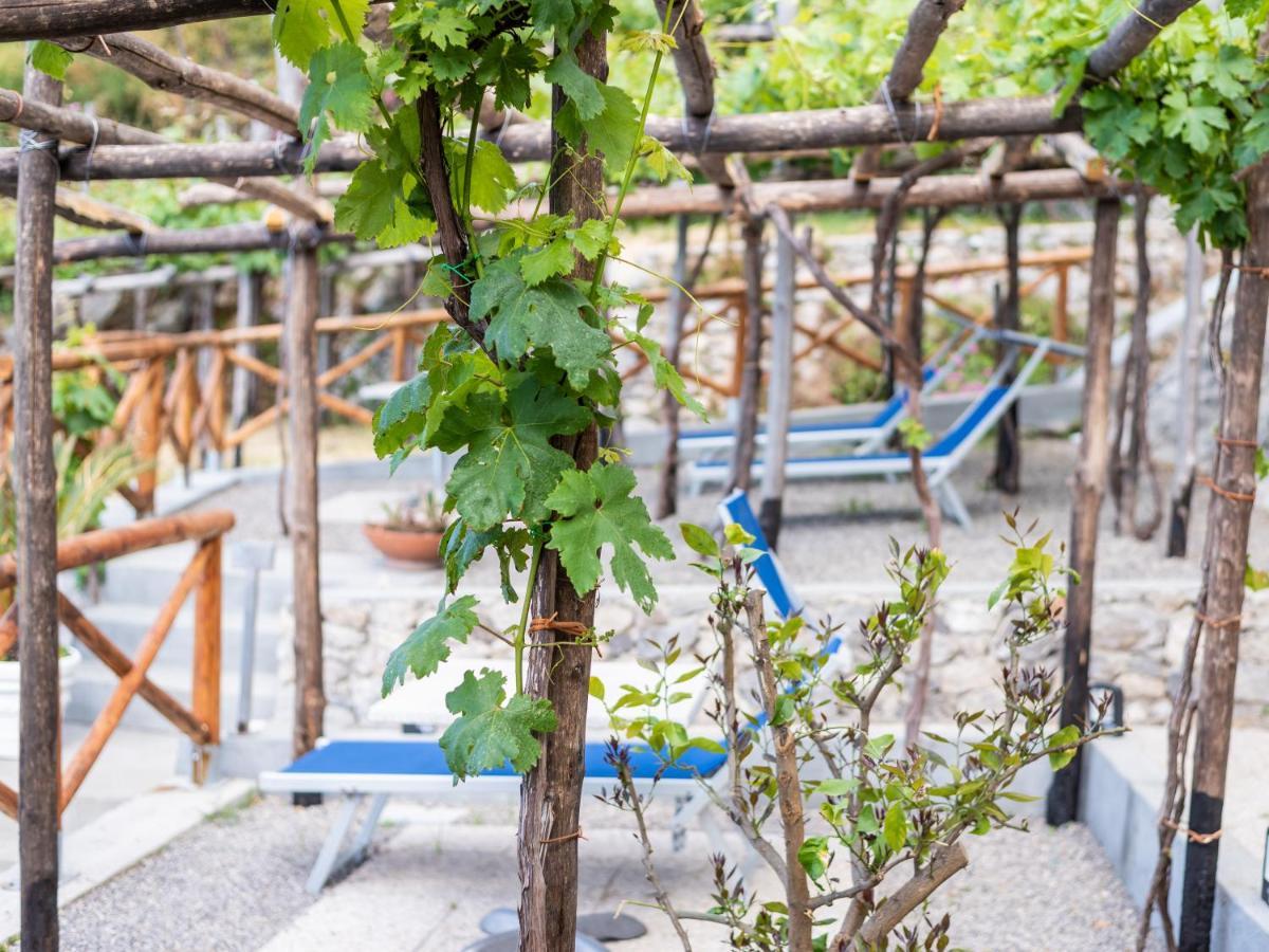 Albergo Diffuso Bacco Furore Kültér fotó